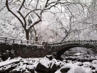 三潭美不美，只有雪知道