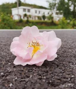 人生处处是风景 生活处处有诗意