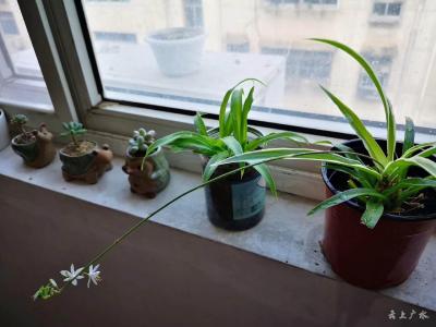 人生处处是风景 生活处处有诗意