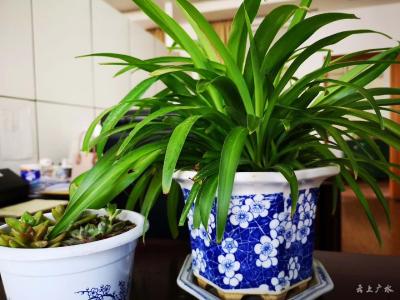 人生处处是风景 生活处处有诗意