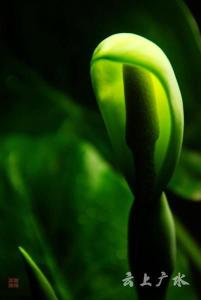 仅一背影，亦能倾国倾城！