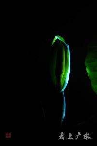 仅一背影，亦能倾国倾城！