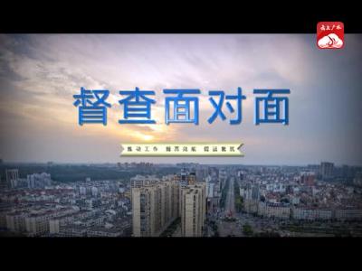 V视｜督查面对面 市水利湖泊局：发力“转保促”奋进新征程