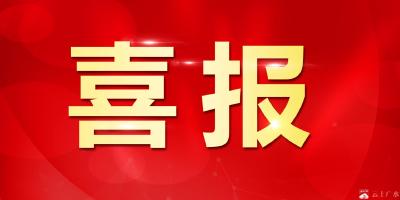 结果出炉！“詹王故里・浪漫广水”广水家乡年短视频大赛获奖名单公布