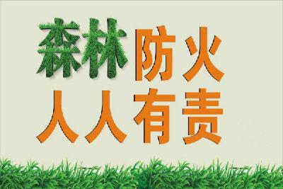 森林防火｜以案示警、警钟长鸣！