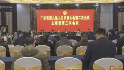 【聚焦两会】市九届人大二次会议主席团召开第三次会议