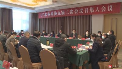 【聚焦两会】市政协九届二次会议召开第一次召集人会议