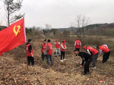 “植”此青绿，助力乡村振兴 