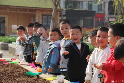 华师广水附属幼儿园：成长，每一步都算“树”