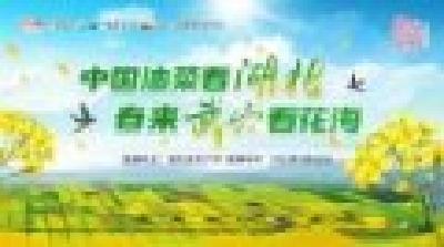 直播 | 荊楚花開：春來武穴看花海