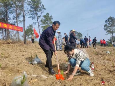 【悦•广水|新时代文明实践】市财政局：春暖三月学雷锋  植树护绿在行动