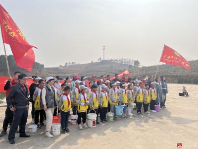 市八一学校：携手植树绿家园 劳动教育开新篇