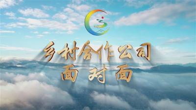 【越•广水|乡村合作公司面对面】广水街道驼子村：合作公司领航发展  建设幸福和美家园