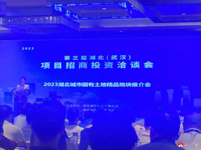                                                【阅·广水】  广水精品地块吸引投资热潮  