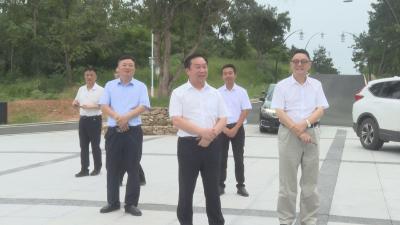 【越·广水】“中国公车改革第一人”叶青教授到广水考察乡村合作公司