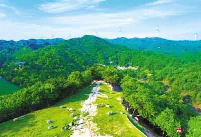 地流转 钱进村 人下乡 ——广水市吴店镇村村办公司走出共富路