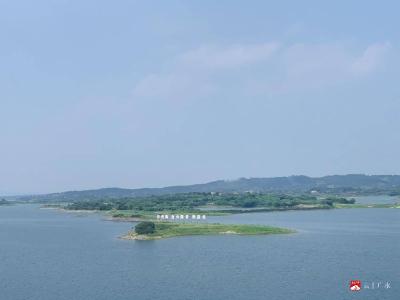 【越·广水｜百炼成钢】广水：实地观摩拓视野 现场研学强本领