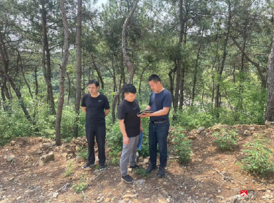 广水市林业局圆满完成审核审批使用林地专项检查