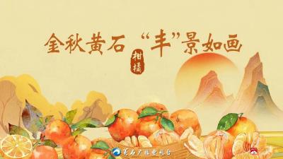 金秋黄石 “丰”景如画 · 柑橘