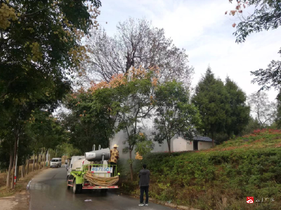 【越·广水】市林业局多措并举开展古树名木保护工作