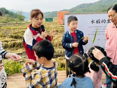 【悦·广水】华师广水幼儿园开展第43个“世界粮食日”主题活动