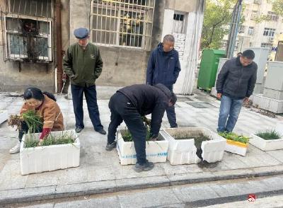 【悦•广水】整治泡沫箱种菜 打造整洁卫生环境