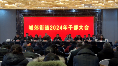 【越·广水｜高质量发展进行时】城郊：踔厉奋发  笃行不怠  续写高质量发展绚丽篇章