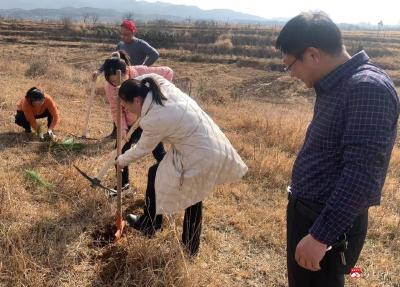 【越•广水】植树增添新绿 共建美好完园