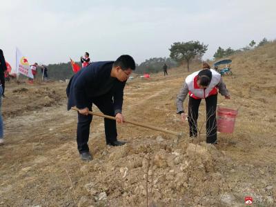【悦·广水】关庙镇开展学雷锋义务植树活动
