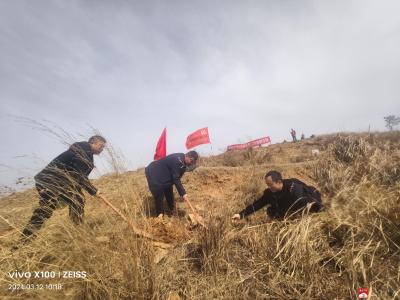 【越•广水】武胜关镇：植树造林添新绿  为高质量发展注入“绿色动能”