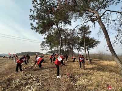 【越·广水】携手植树添新绿  太平镇开展义务植树活动