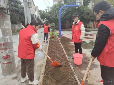 【悦•广水】南关社区： 绿满春天 “植”得期待