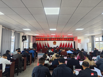 【越·广水】余店镇召开第十届人民代表大会第六次会议