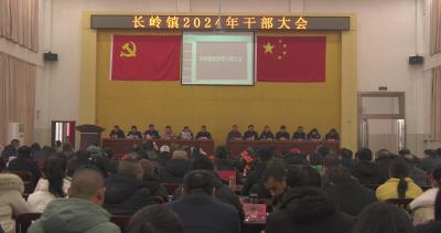 【越·广水｜高质量发展进行时】长岭镇：把握新机遇  锚定新蓝图