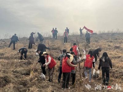 【越·广水】蔡河镇：“锋”华正茂，志愿服务正当时