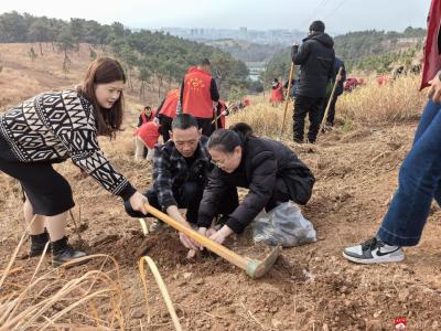 【越•广水】“植”此青绿 不负春光！应山街道开展义务植树志愿服务活动