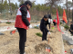 【悦·广水】市纪委监委机关积极开展义务植树活动