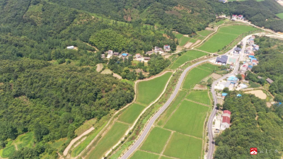 【越·广水】蔡河镇：立足青山，谱写生态保护新篇章