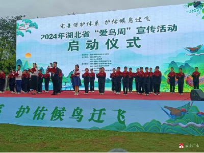 【越•广水】骆店镇中心小学：爱鸟护鸟从我做起 共同守护蓝天精灵
