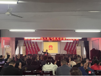 【越·广水】骆店镇召开第三届人民代表大会第六次会议