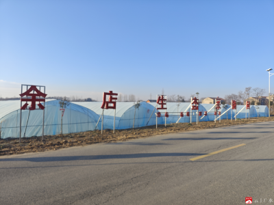 【越·广水】余店镇：合作公司态势良好 振兴画卷徐徐展开