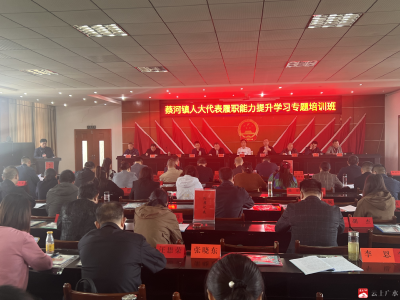 【越·广水】蔡河镇召开人大代表履职能力提升学习专题培训班