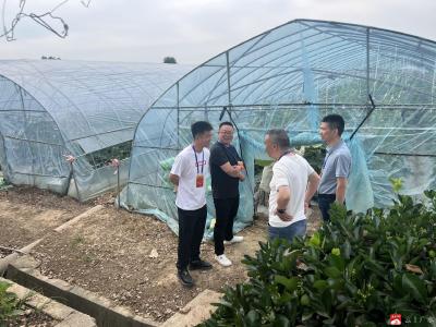 【越·广水】蔡河镇：人大代表在行动  致力产业发展新局面