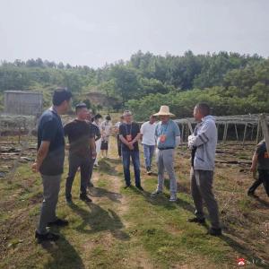 【越·广水】蔡河镇：助力产业振兴  人大代表在行动