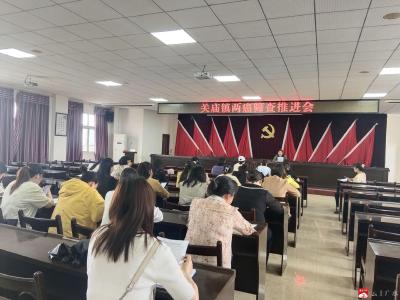 关庙镇召开2024年妇女“两癌”筛查工作推进会
