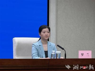 打造“1+4”发展格局 随州持续叫响“一见钟情”文旅IP