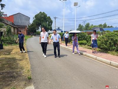 【越•广水】杨寨镇人大代表在行动：美丽乡村建设  共建共治共享