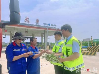 湖北交投京珠运营公司太平收费站：浓情端午高速行 粽叶飘香送祝福