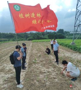 【越·广水】市林业局：实地教学同探林业奥秘 “林”聚未来共筑绿色广水 