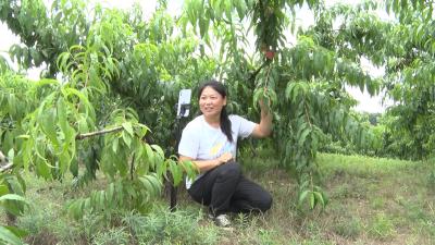 【越·广水｜广水市“十佳代表”风采（八）】付艾华：“最美主播”艾姑娘